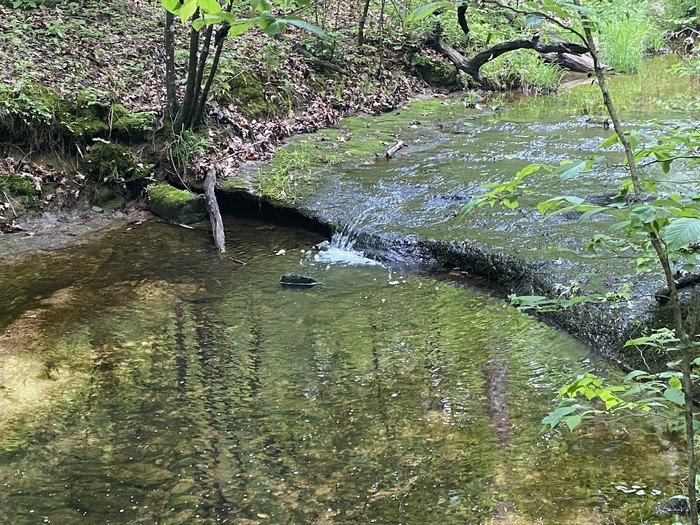 Waterfalls Near Me: Visit A Gorgeous, Underrated Waterfall In Missouri