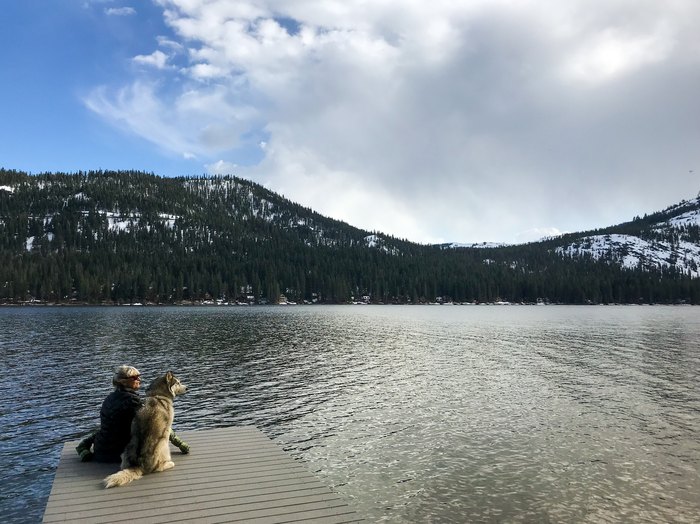are dogs allowed at donner lake
