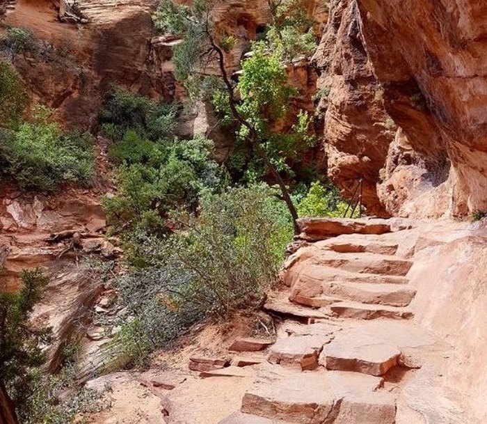 virtual field trip to zion national park