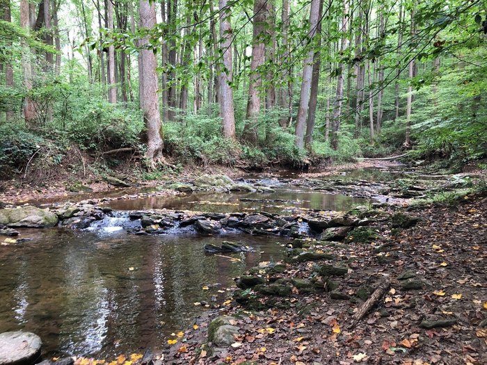 8 Peaceful Hikes In Delaware Where You Won't See Many People