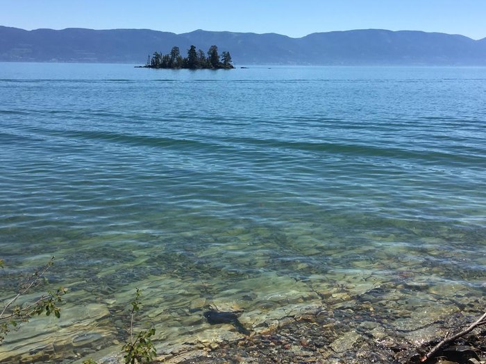 flathead lake water clarity