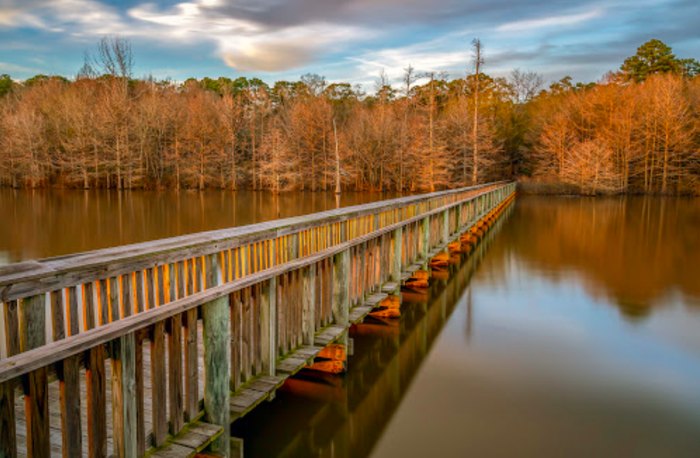 Escape To Louisiana’s Hidden Gem: Lake D’Arbonne State Park