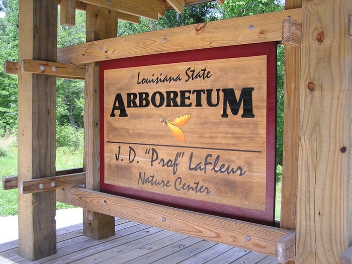 The Louisiana State Arboretum In Louisiana Is Downright Enchanting