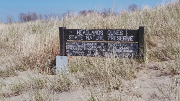 are dogs allowed at headlands beach