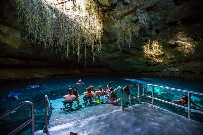 5 Reasons to Explore Devil's Den in Florida - Mortons on the Move