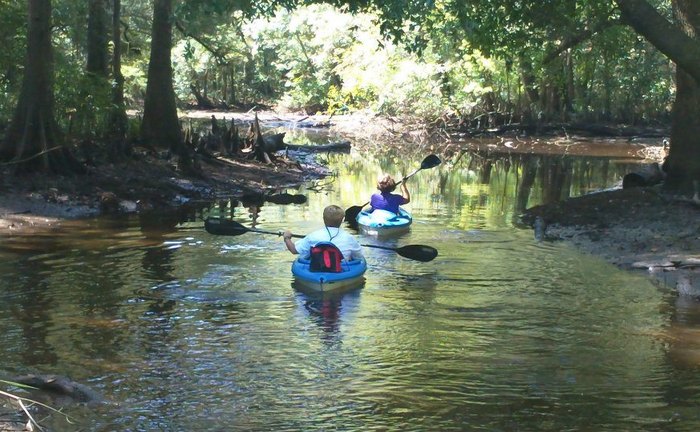 delta wildlife kayak tour