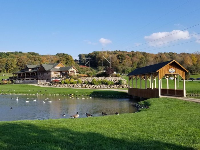 Hidden Valley Animal Adventure In New York Is A Unique Adventure