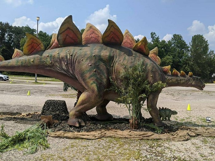 Experience A DriveThru Dinosaur Exhibit In Richmond, Virginia