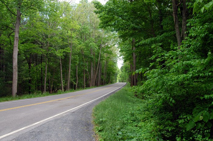 Virginia's Wilderness Road Is The Perfect Day Trip Destination