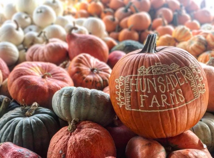 Enjoy The Annual Pumpkin Festival At Hunsader Farms In Florida