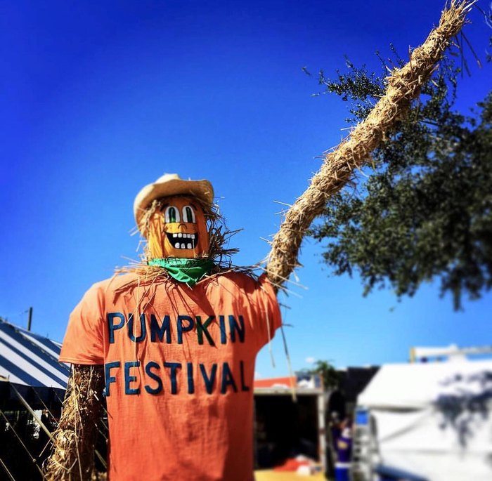 Enjoy The Annual Pumpkin Festival At Hunsader Farms In Florida