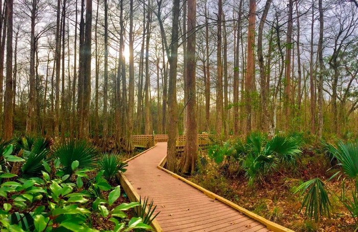 You'll Be Hooked After A Day Spent Exploring These 6 Hidden Trails In ...