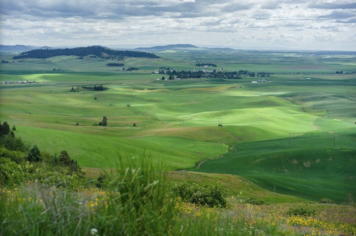 Escape To Idaho’s Hidden Gem: McCroskey State Park