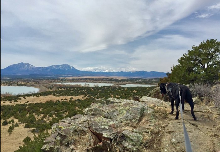 Colorado's Hidden Gem: Lathrop State Park - Where Adventure Meets Serenity