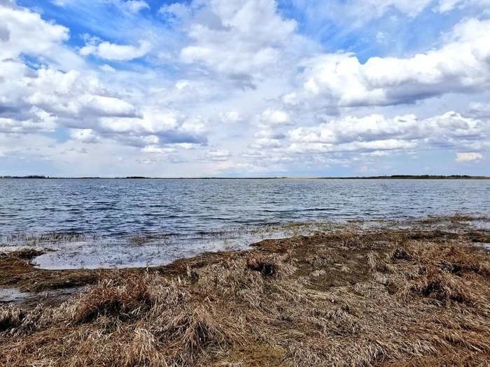 Can you swim in Salt Lake Minnesota