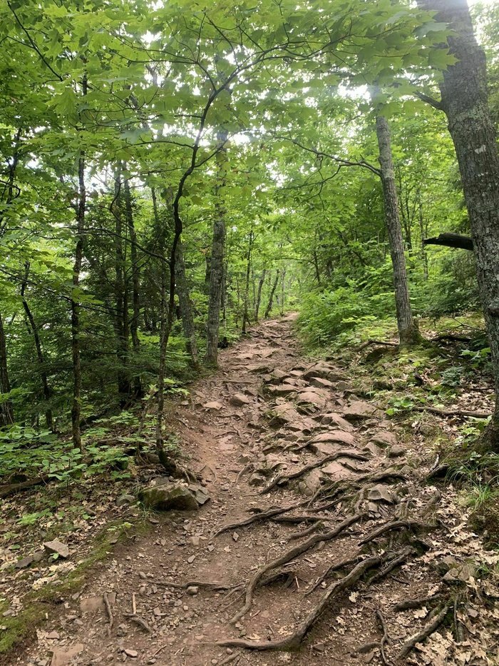 Lake Of The Clouds Trail Is One Of The Best Hikes In Michigan