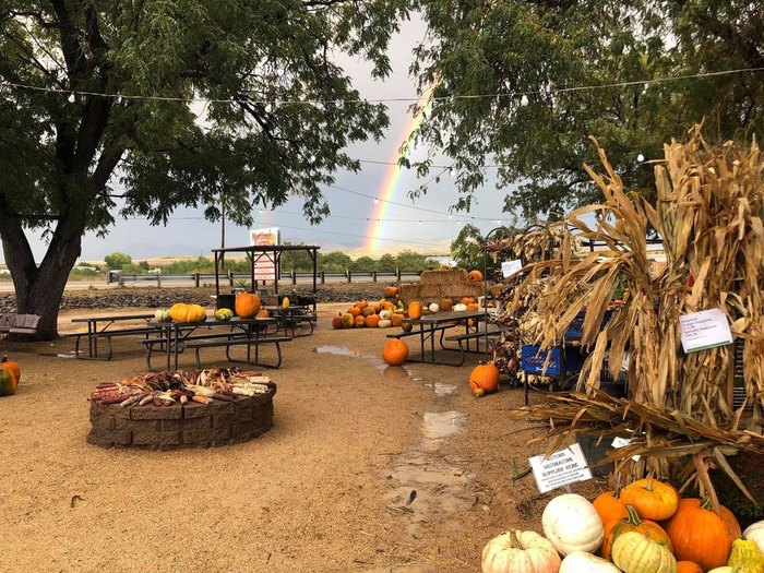 Pumpkin Fest At Mortimer Farms Is An Awesome Fall Festival In Arizona