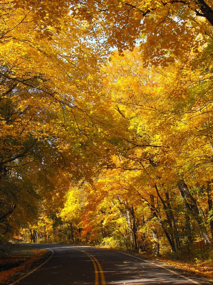 11 Amazing Destinations To Visit This Fall In Missouri