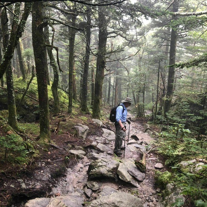 Profile Trail Is A Challenging Hike In North Carolina