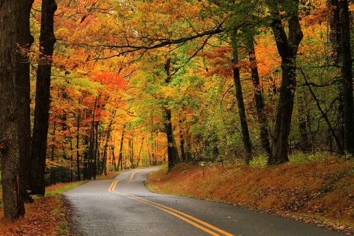 Oakland, Maryland Is Home To The Annual Autumn Glory Festival