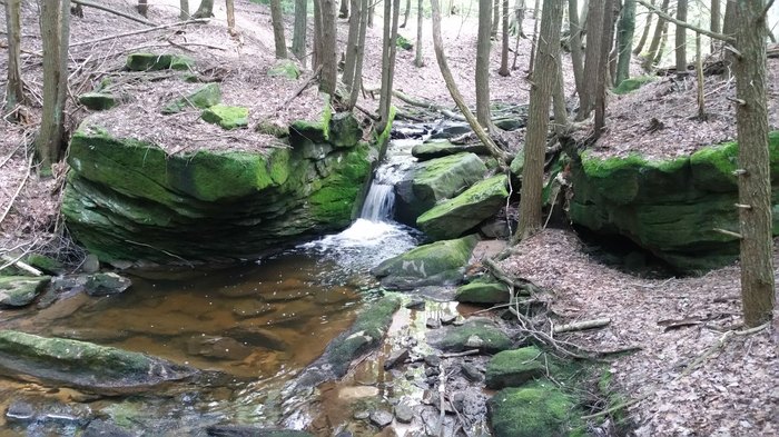 Waterfalls Near Me: Hike To Logan Falls In Pennsylvania