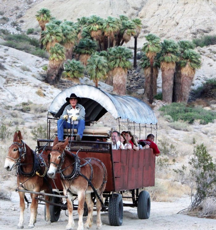 covered wagon travel in a day