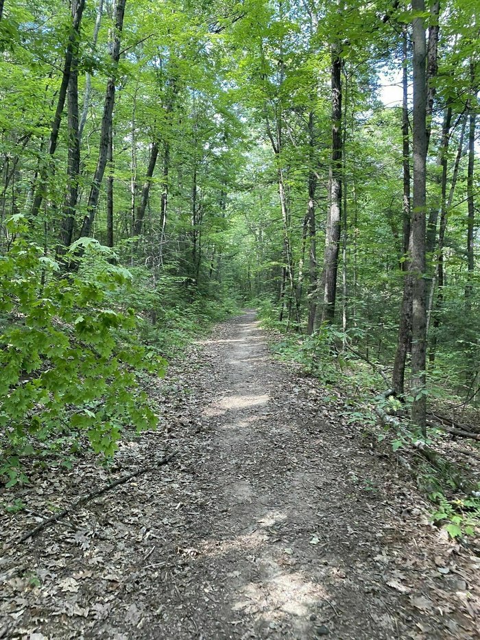 Rocky Mountain Poets Seat Trail Is A Beautiful Massachusetts Hike