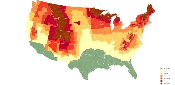 Interactive Map Showing When Fall Foliage Will Peak Across Arizona