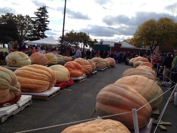 A Nearly 2,000-Pound Pumpkin Recently Broke Minnesota's Largest Pumpkin ...