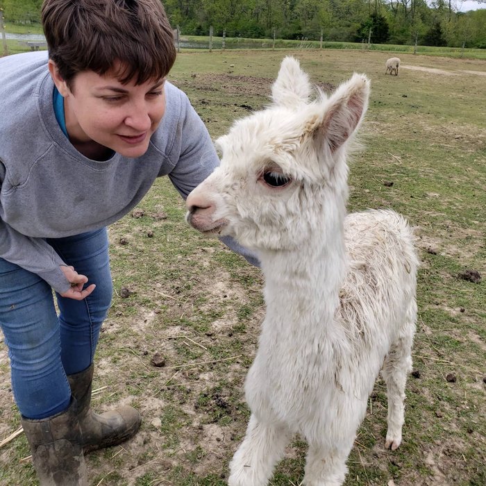 Cuddle Rescued Farm Animals At Kanda Farm Sanctuary In Indiana