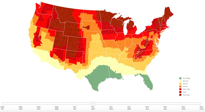 Here's When The 2020 Fall Foliage Will Peak In Nebraska