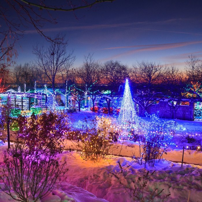 Visit The Winter Garden aGlow At The Idaho Botanical Garden This Year