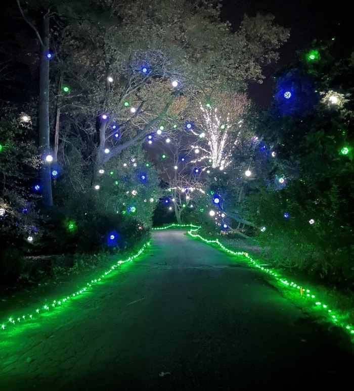 Norfolk Botanical Gardens Christmas Lights Fasci Garden