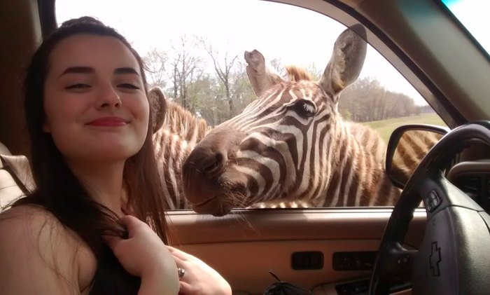 drive through safari louisiana