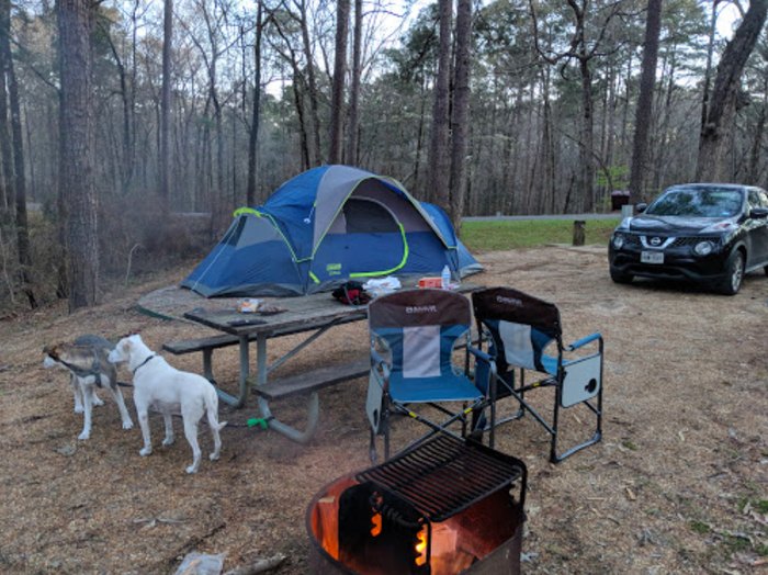 The Kisatchie National Forest In Louisiana Is Great For Camping