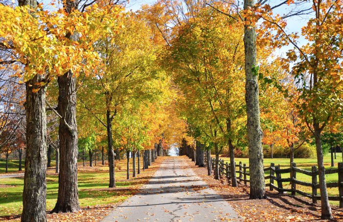 Sharon, Vermont Is A Small Town That Is A Gem To Visit In Autumn