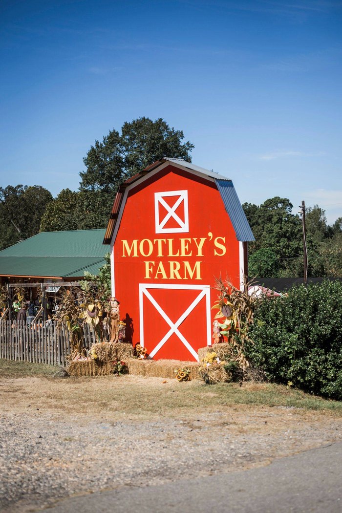 Motley's Tree Farm Arkansas