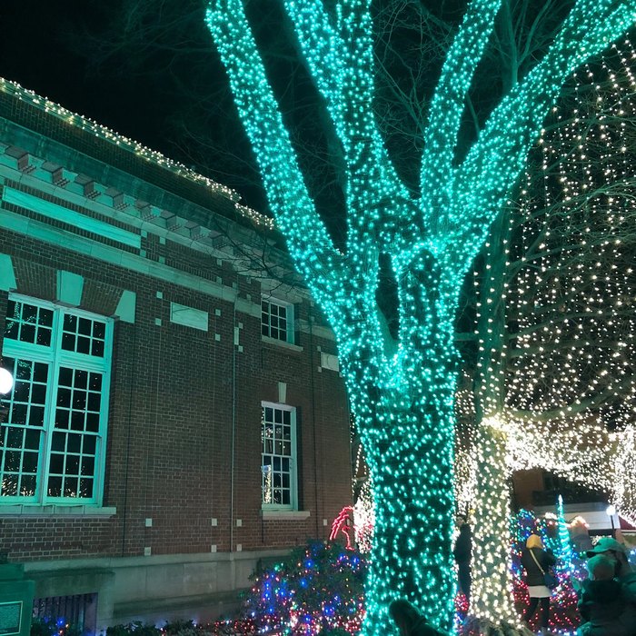 Enjoy Holiday Lights With Lights Of The Ozarks In Arkansas