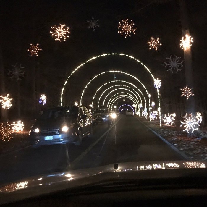 3.5 Miles Of Holiday Lights At Seneca Creek State Park In Maryland