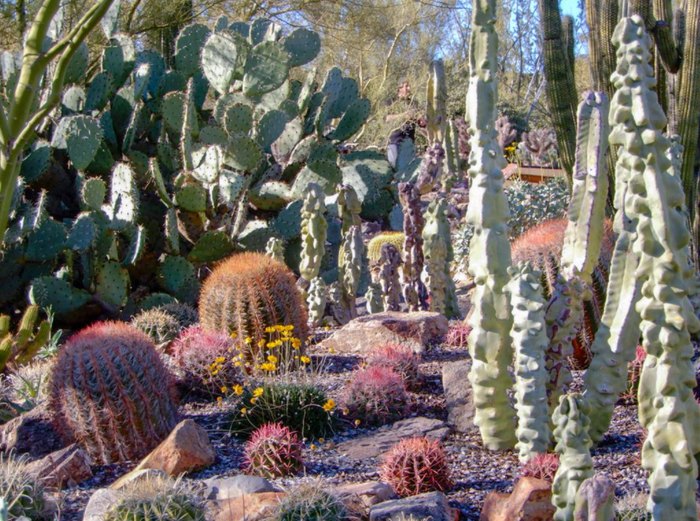 Arizona-Sonora Desert Museum Is 8th-Best Zoo In The U.S.