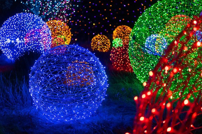 The Denver Botanic Gardens Christmas Lights Are Utterly Dazzling