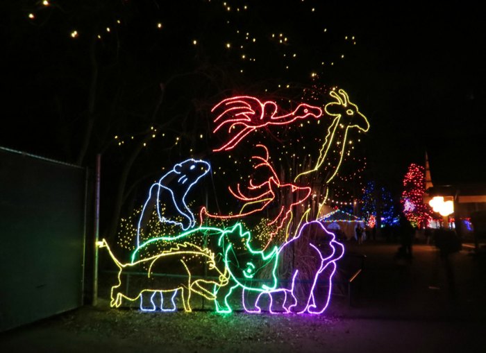 Zoo Lights In Colorado Named One Of The