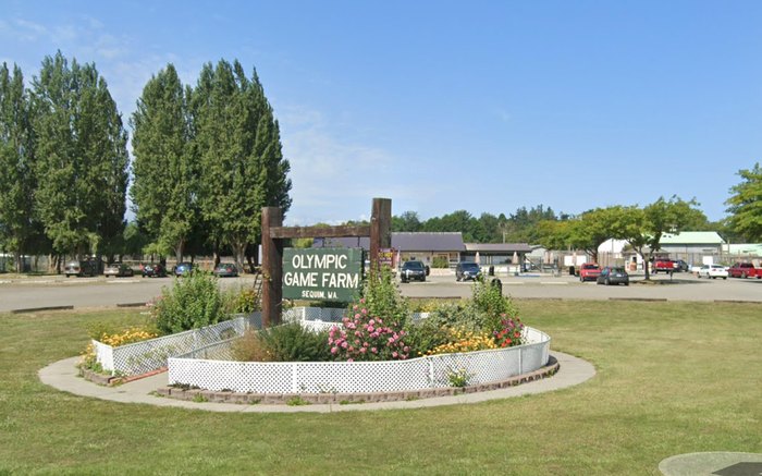 Olympic Game Farm in Sequim - Tours and Activities