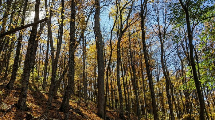 The Best Hike In West Virginia Might Be Seneca Creek To Spruce Knob