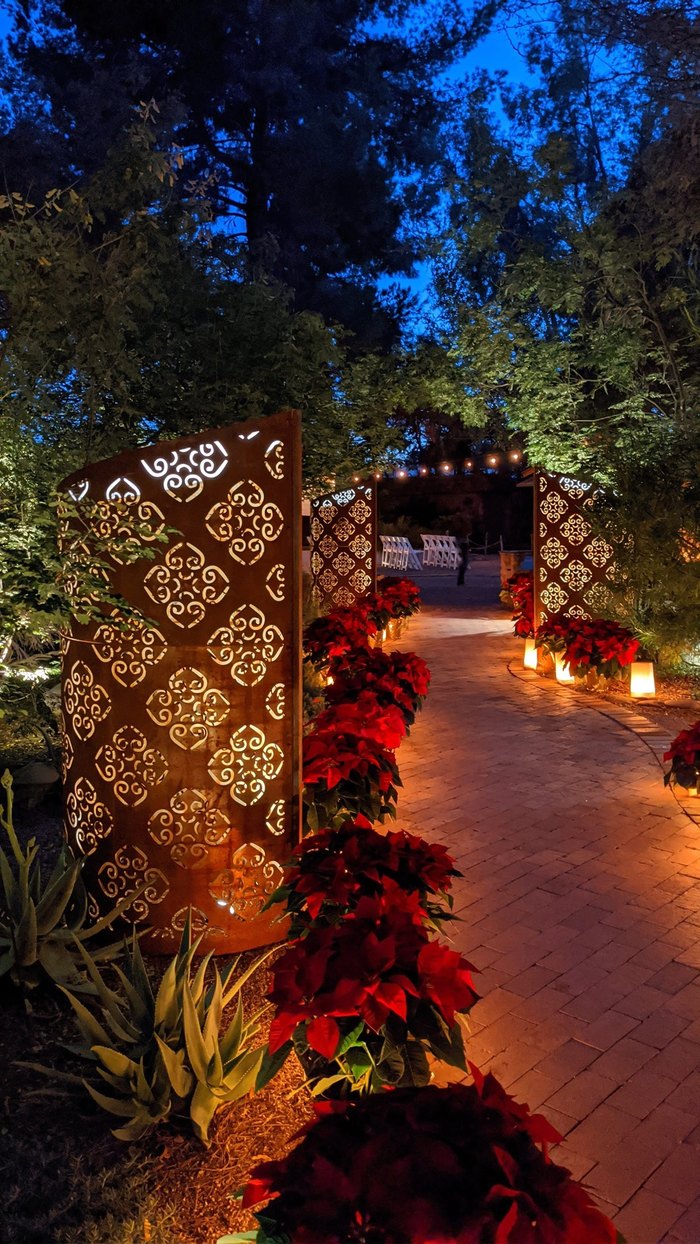 Christmas Light Display At The Tucson Botanical Gardens In Arizona