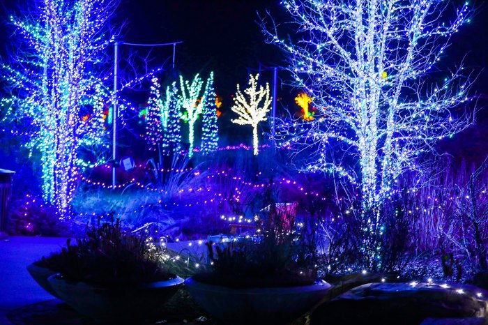 The Garden Of Lights In Oklahoma Is A Magical Wintertime Fairyland ...