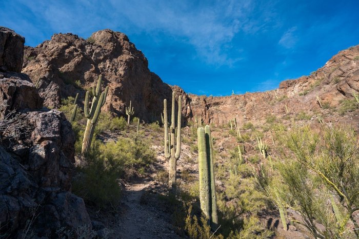 Hunter Trail Is A Short, Yet Challenging Mountain Hike In Arizona