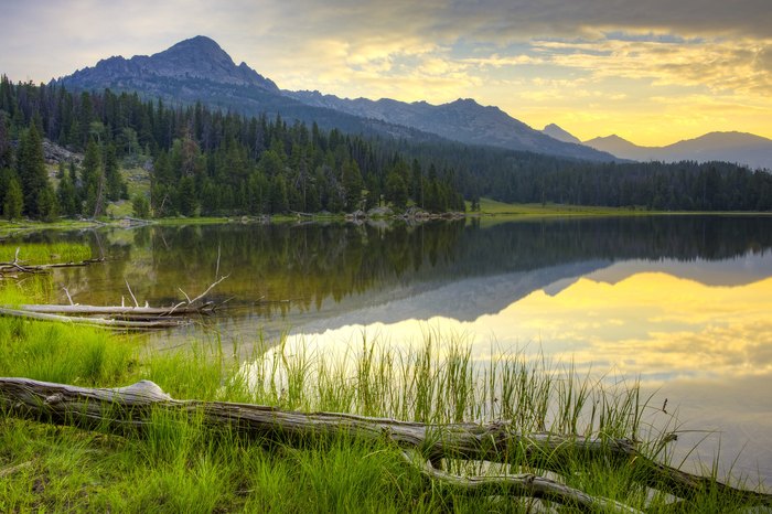 Enjoy Stunning Views From Your Own Cozy Cabin In Wyoming