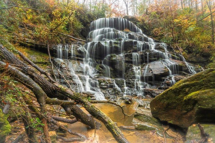 The 3-Mile Trail To Yellow Branch Falls In South Carolina Is A Must For ...