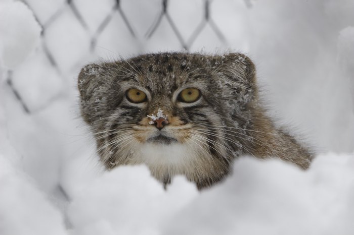 Visit Utah's Hogle Zoo This Winter For A Unique Experience